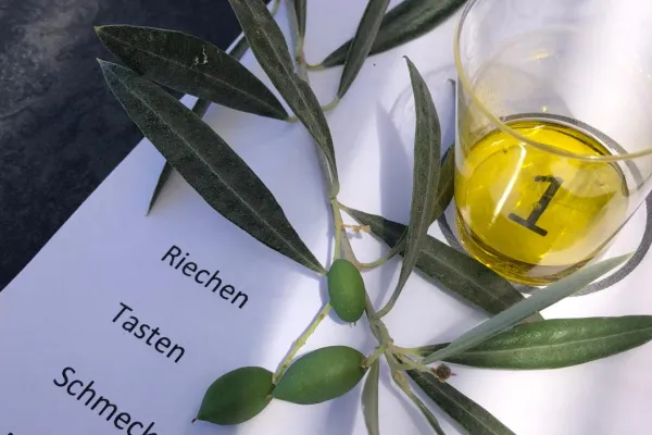 Olivienöl – Superfood oder neuer Spleen?